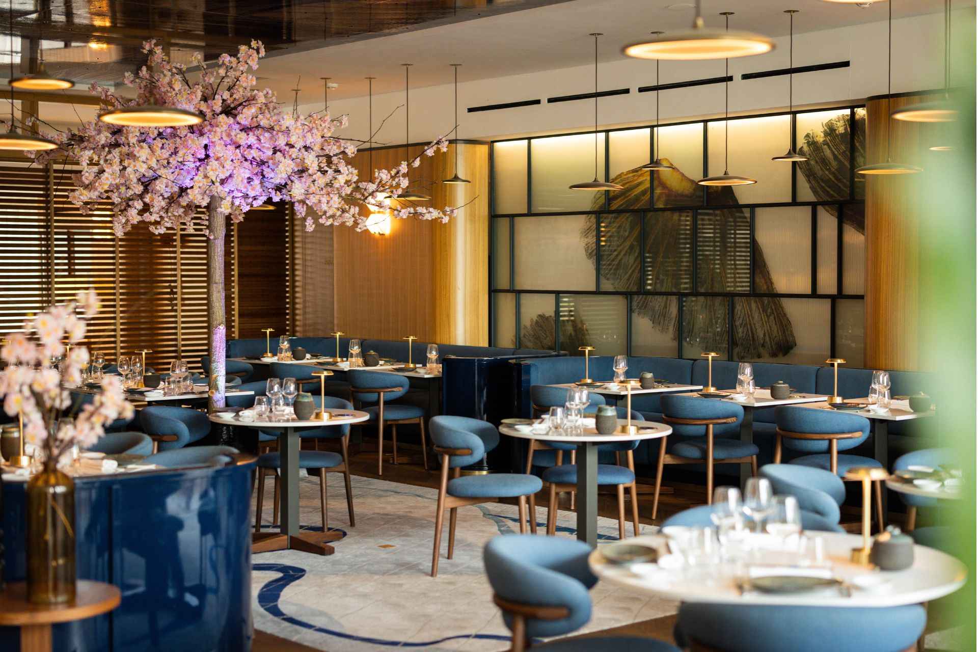 Originalaufnahme von Mr. Nakamoto &mdash; Mondrian Cannes.