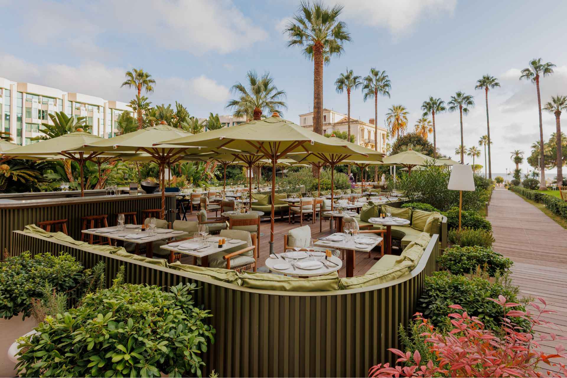 Originalaufnahme von Mr. Nakamoto &mdash; Mondrian Cannes.